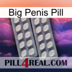 Big Penis Pill 07